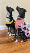 Bordeaux (Bonded Pair with Asti)