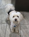 Benny