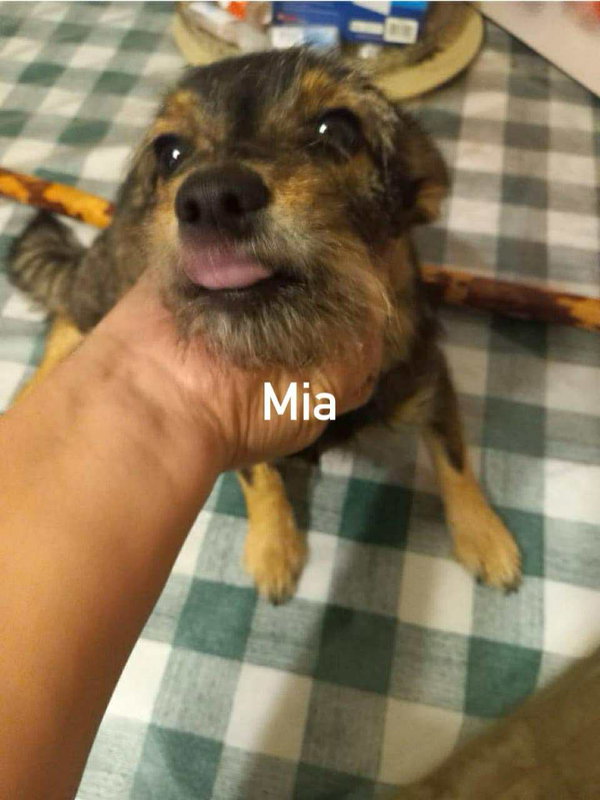 Mia