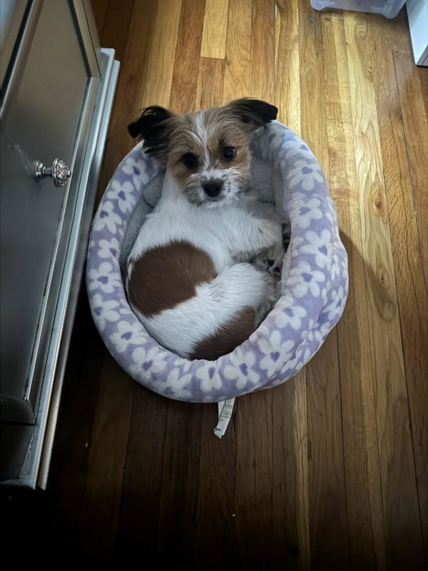 Chloe