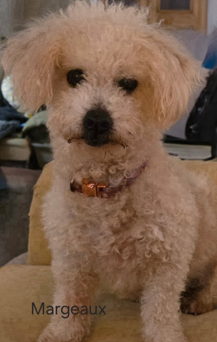 Margeaux