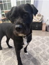 Jack