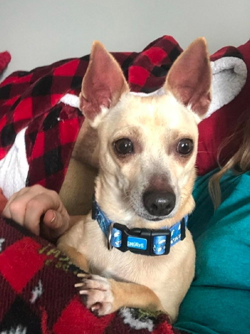 Chico