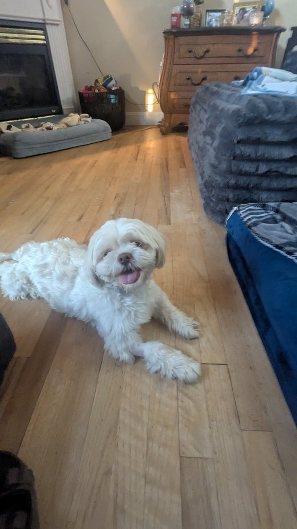 Alfie