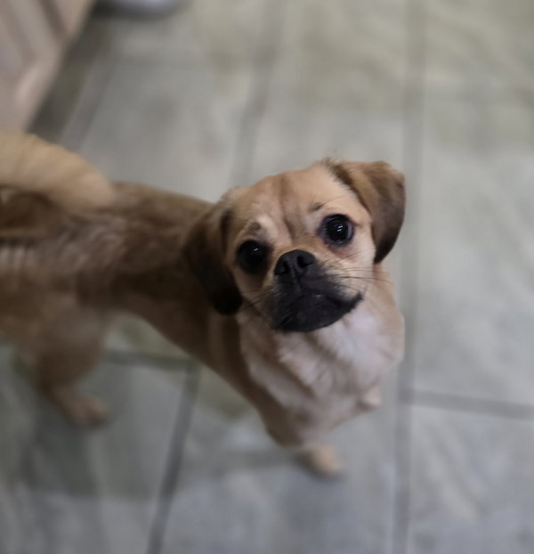Lily