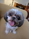 Belcy