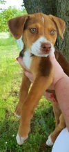 Nellie