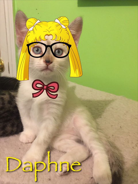 DAPHNEY