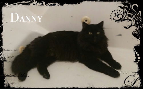 Danny