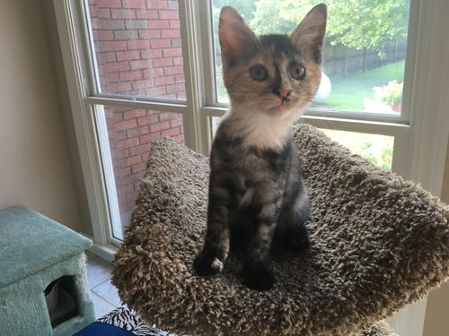Winnie