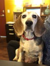 Ethel