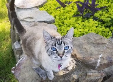 Neytiri