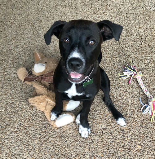 Winnie