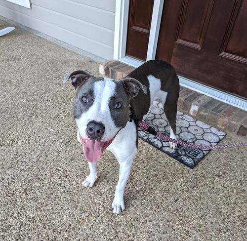 Zoe