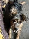 Jack