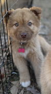 ELOISE