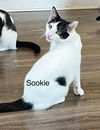 SOOKIE