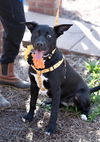 Winnie