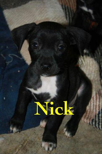 Nick
