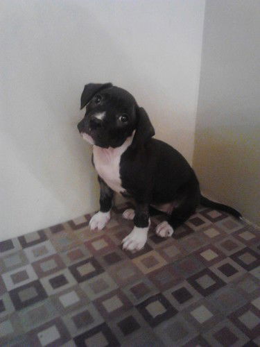 Wilma