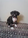 Wilma