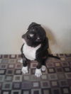 Wilma