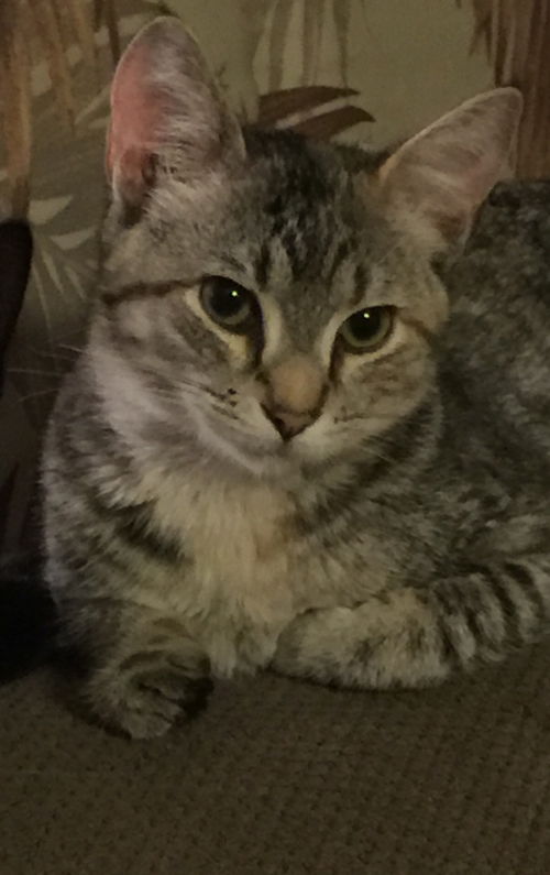 Emma