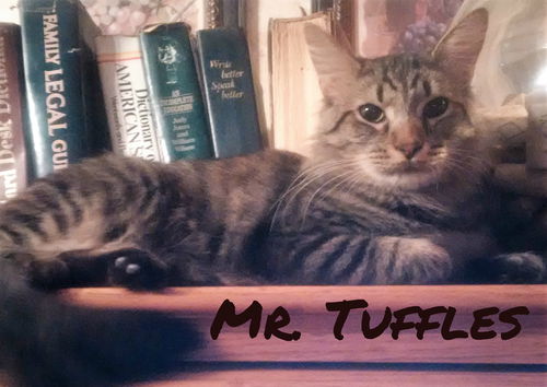 WV - Mr. Tuffles (MCR)