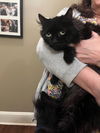 GA - Lenin & Maisy (CP) *Bonded Pair*