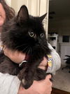 GA - Lenin & Maisy (CP) *Bonded Pair*