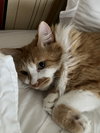 CA - Charlie & Elliot (CP)
