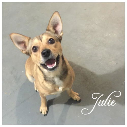 Julie