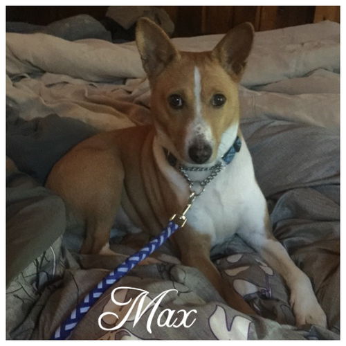 Max