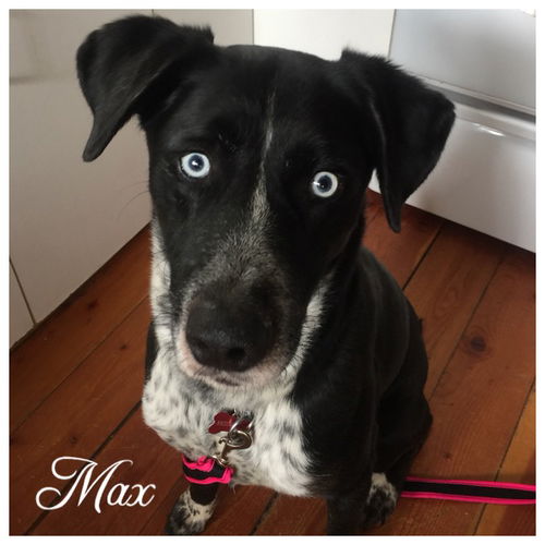 Max