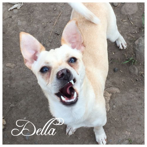 Della