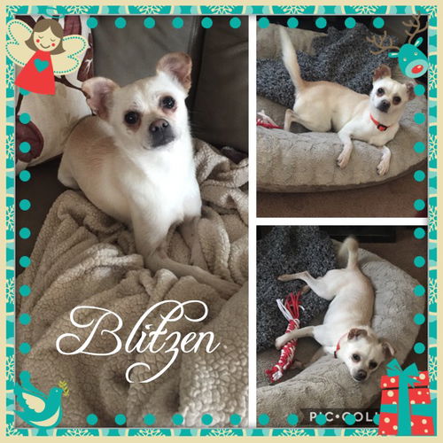 Blitzen