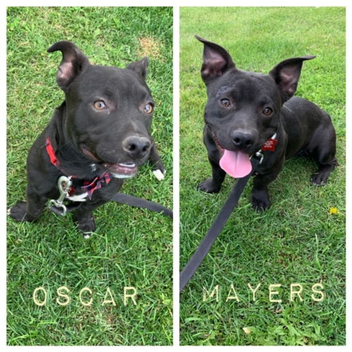 Oscar & Mayers