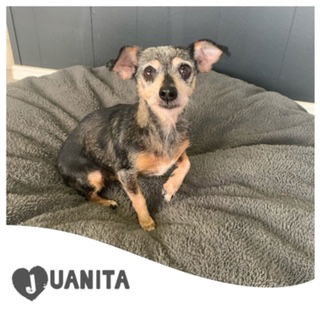 Juanita