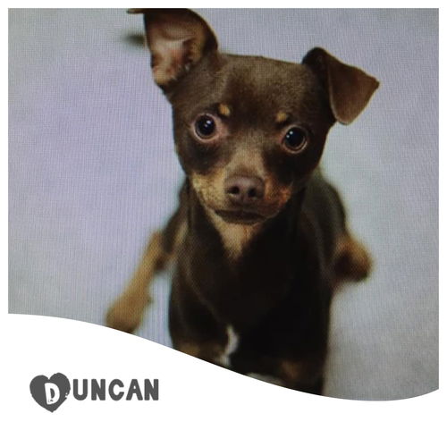 Duncan