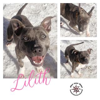 Lilith