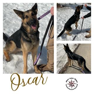 Oscar