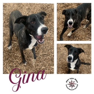 Gina