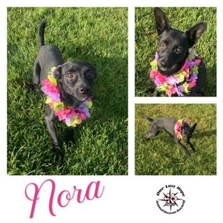 Nora