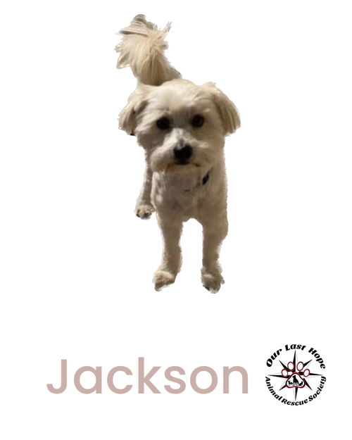 Jackson