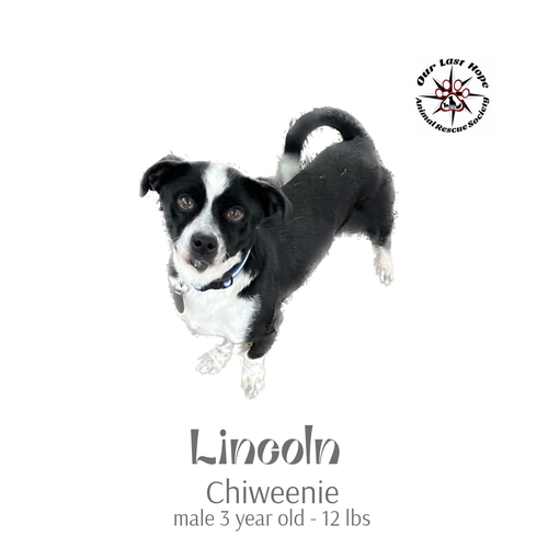 Lincoln