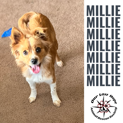 Millie