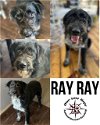 Raymond RAY RAY