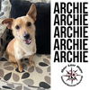 Archie