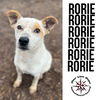 Rorie