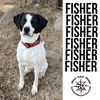 Fisher